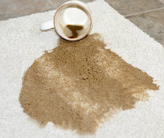 Carpet Stain Removal in Canberra