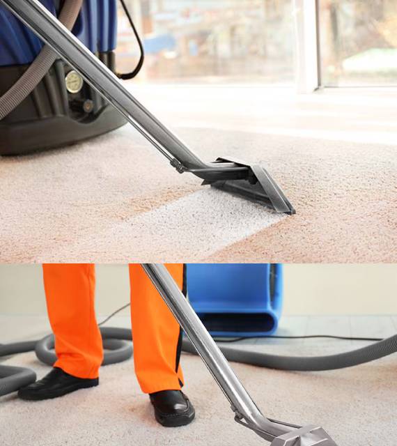 Carpet Steam Cleaning