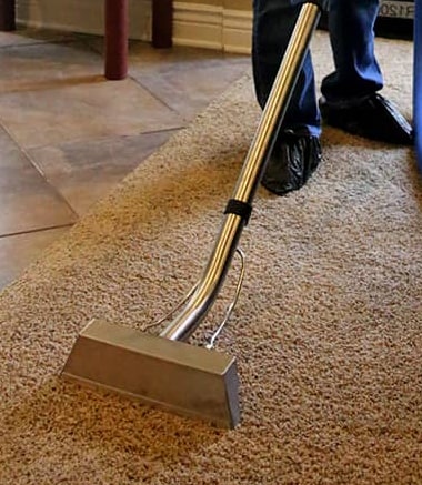 Carpet Steam Cleaning