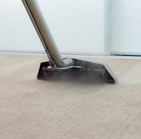 Best Carpet Steam Cleaners