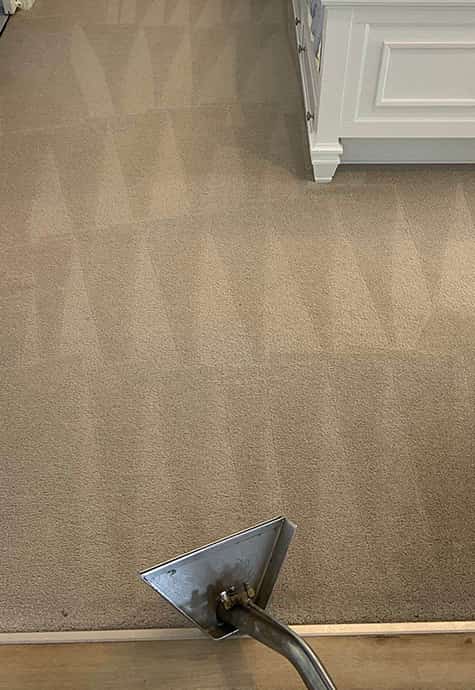 Emergency Carpet Cleaning Braddon