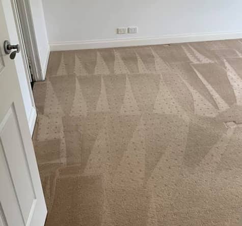 professional-carpet-cleaning-services-in-Booroomba